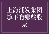 上海浦发集团旗下股票一览